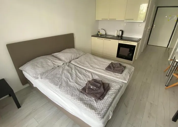 1 With Terrace, Slnecnice Appartamento