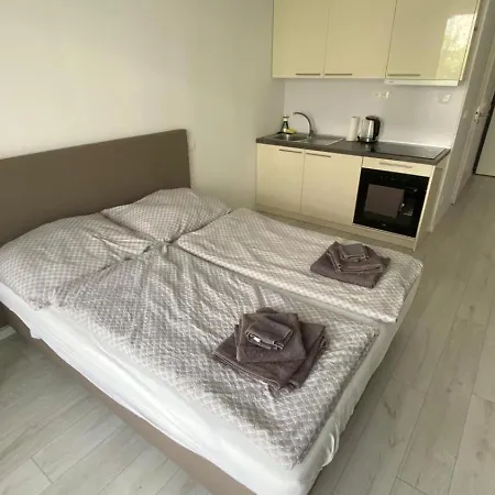 1 With Terrace, Slnecnice Apartament